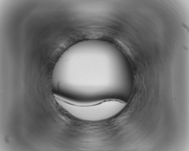 X0000095910307200801110833