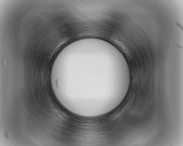 X0000095910308200801110833