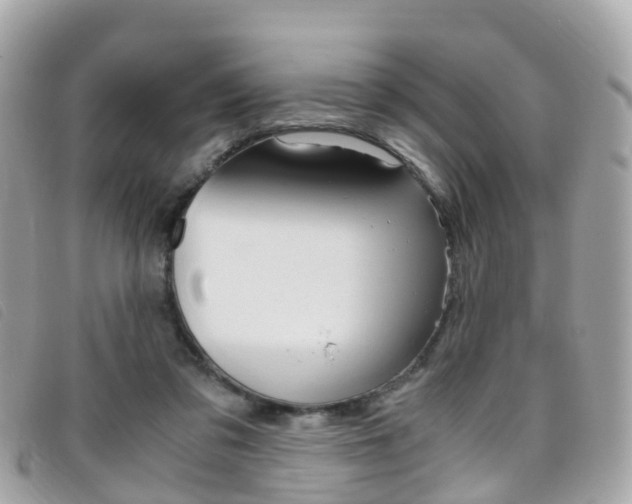 X0000095910309200801110833
