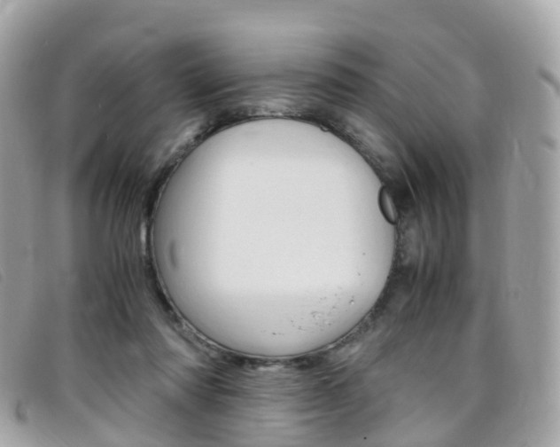 X0000095910310200801110833