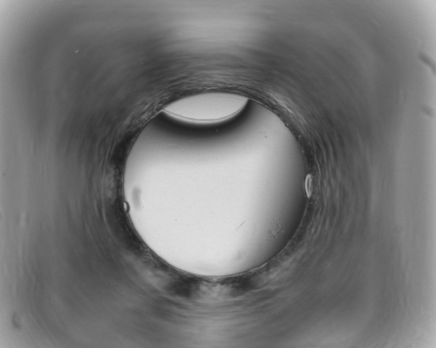 X0000095910311200801110833