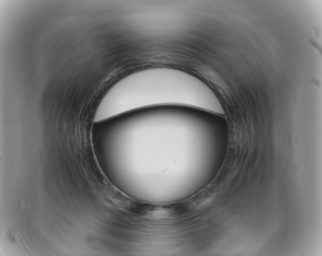 X0000095910312200801110833