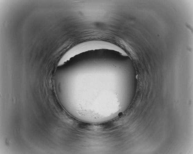X0000095910313200801110833
