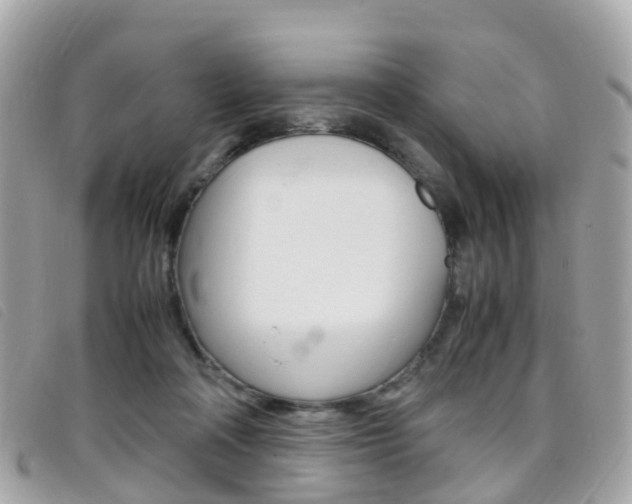 X0000095910314200801110833