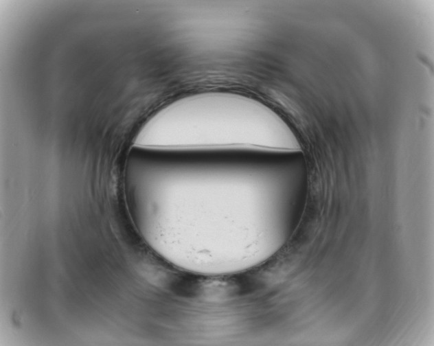 X0000095910315200801110833
