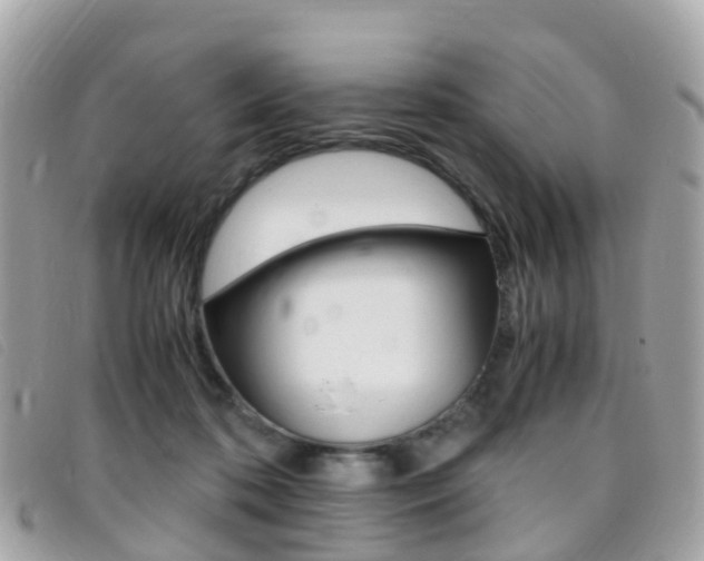 X0000095910316200801110833