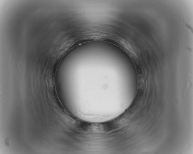 X0000095910317200801110833