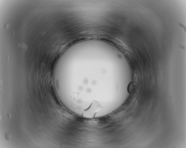 X0000095910318200801110833