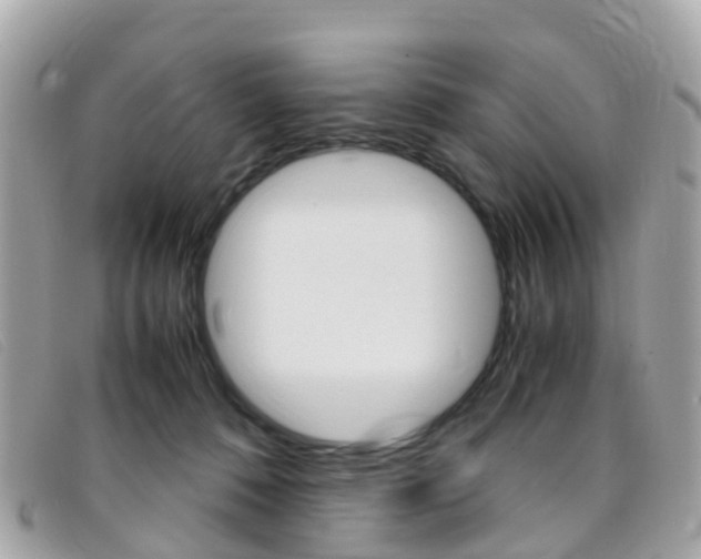 X0000095910320200801110833