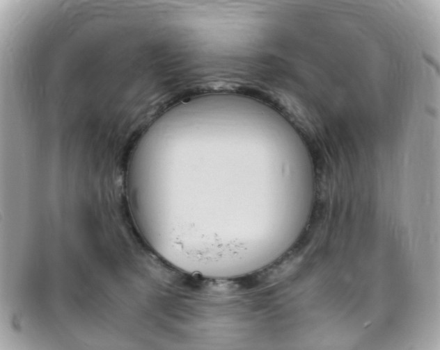 X0000095910321200801110833