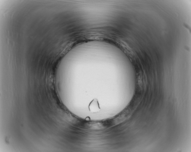 X0000095910322200801110833
