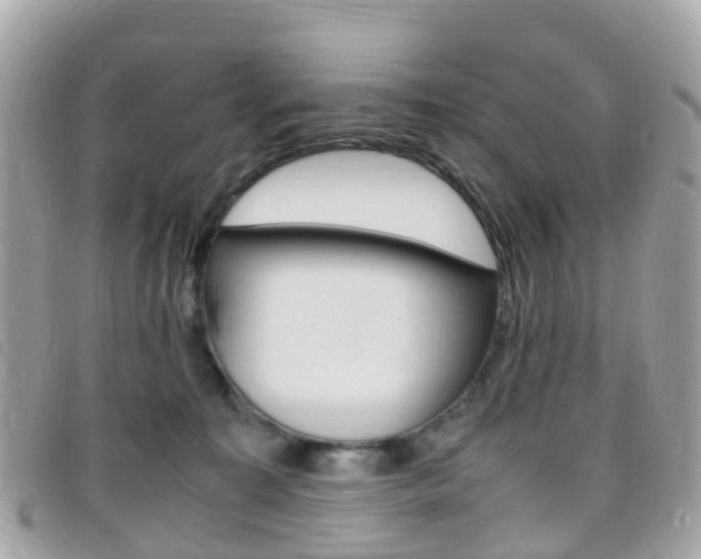 X0000095910323200801110833