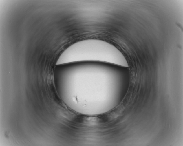 X0000095910324200801110833