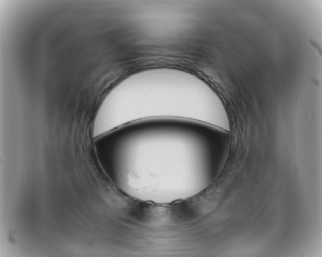 X0000095910325200801110833