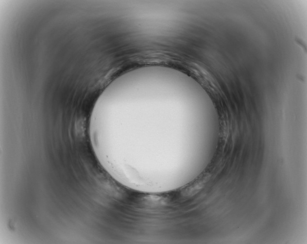 X0000095910326200801110833