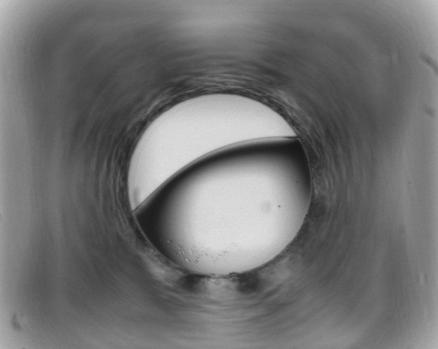 X0000095910327200801110833