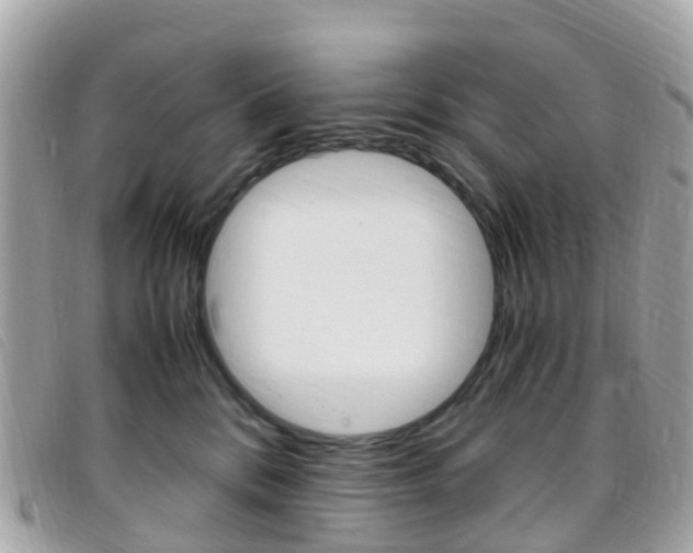 X0000095910328200801110833