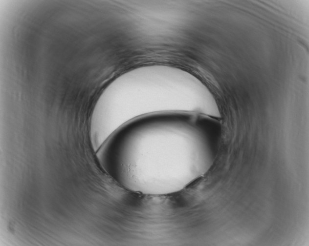 X0000095910329200801110833