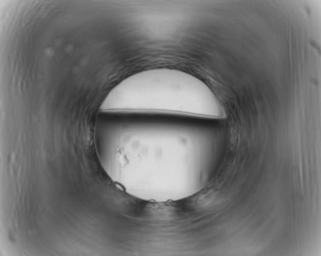 X0000095910331200801110833