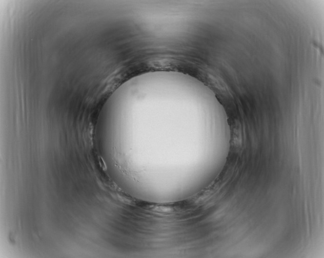 X0000095910332200801110833