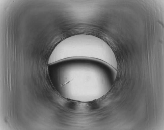 X0000095910333200801110833