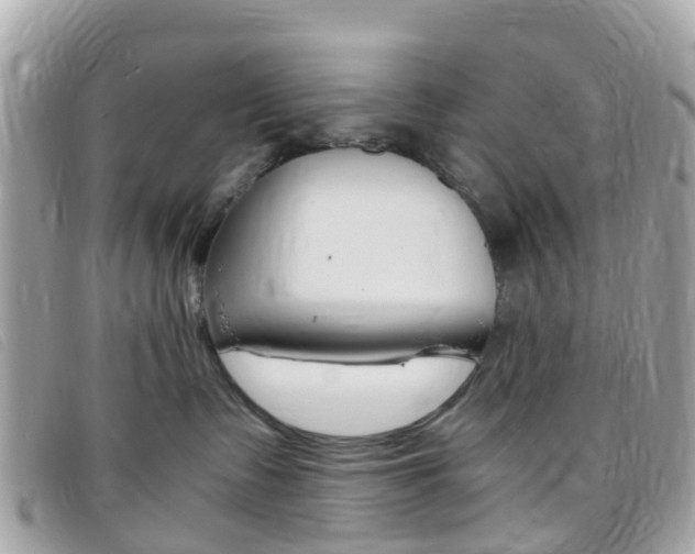 X0000095910335200801110833