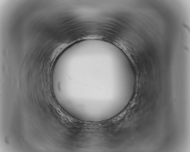 X0000095910337200801110832