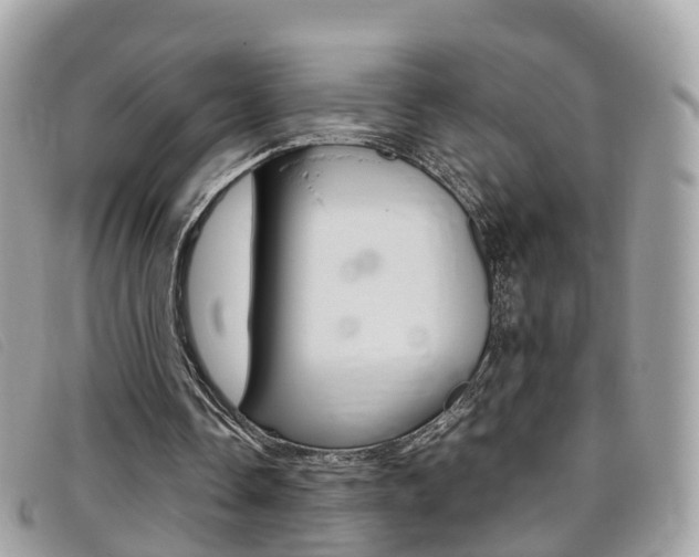 X0000095910338200801110832