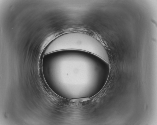 X0000095910340200801110832