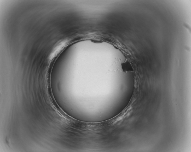 X0000095910341200801110832