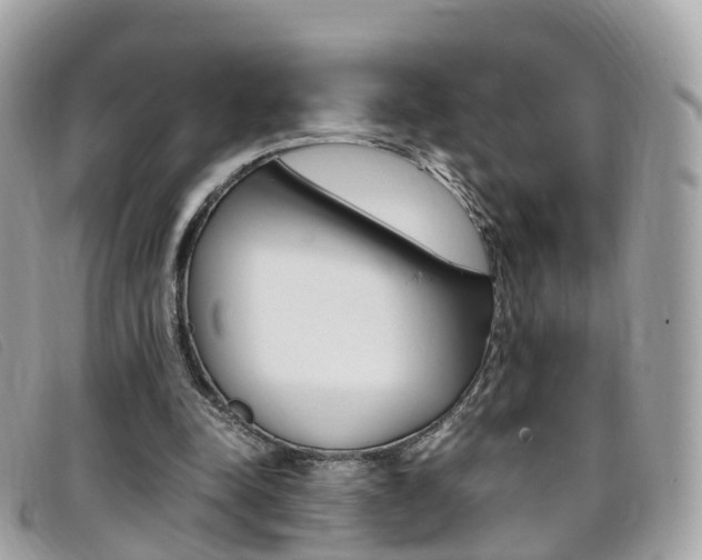 X0000095910342200801110832