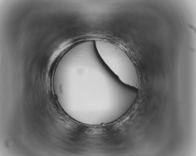 X0000095910343200801110832