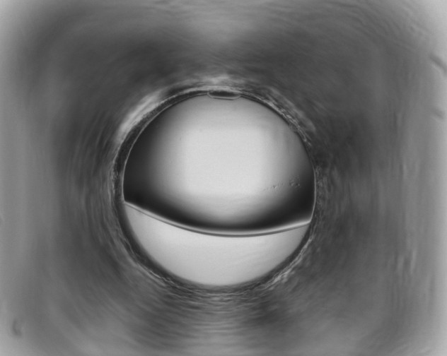 X0000095910344200801110832