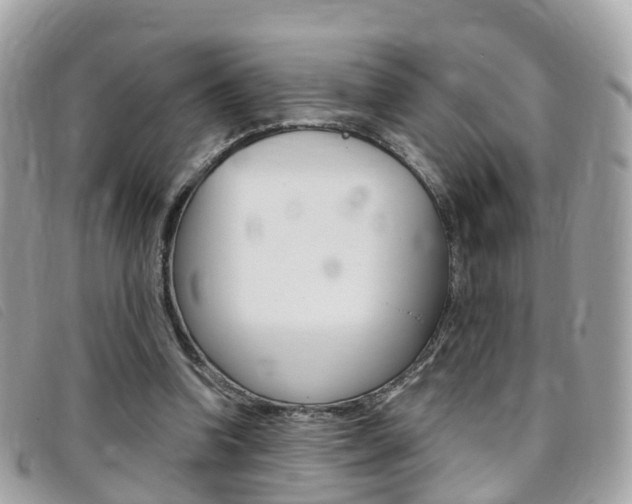 X0000095910346200801110832