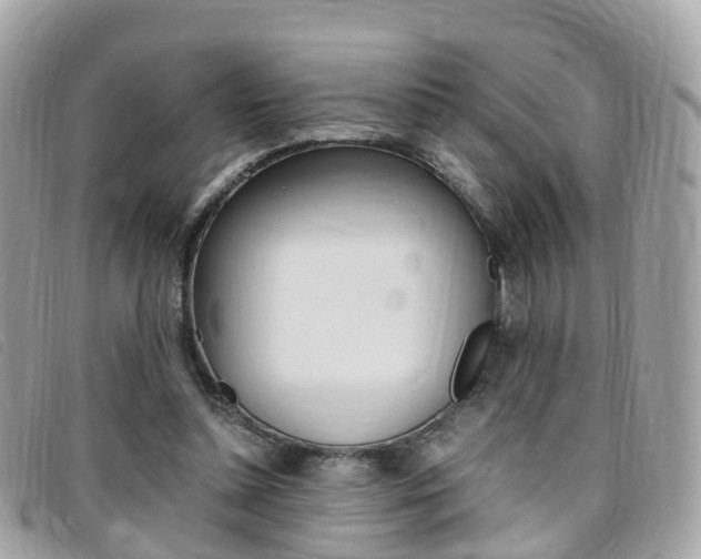 X0000095910348200801110833