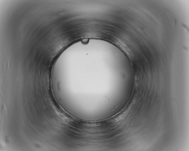 X0000095910349200801110833