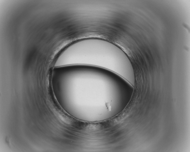 X0000095910350200801110833