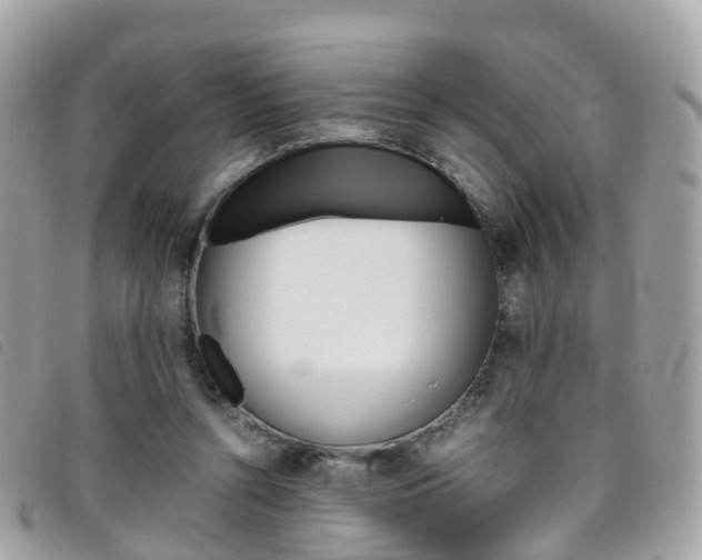 X0000095910352200801110833