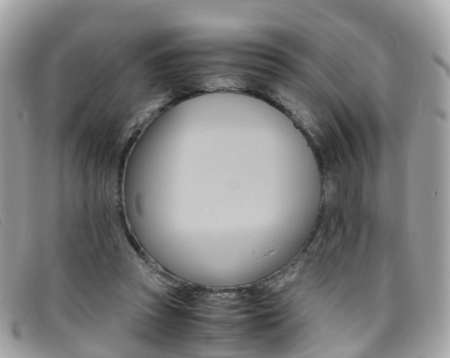 X0000095910353200801110833