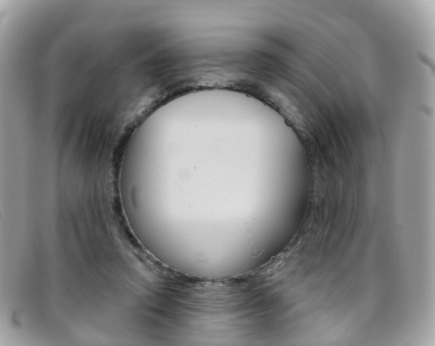 X0000095910354200801110833