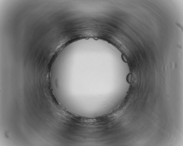 X0000095910355200801110833