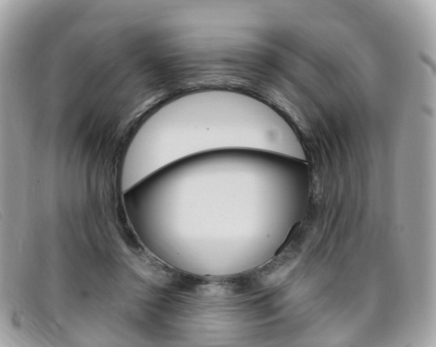 X0000095910356200801110833