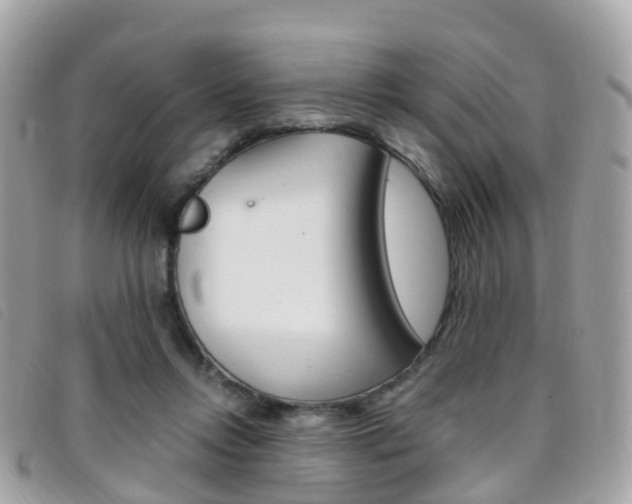 X0000095910358200801110833