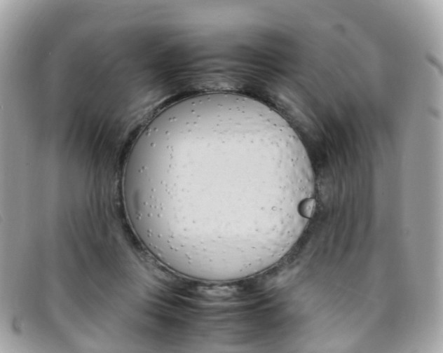 X0000095910359200801110833