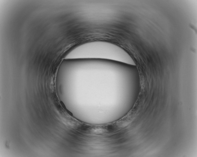 X0000095910360200801110833