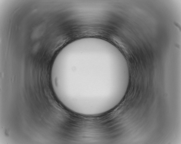 X0000095910362200801110833
