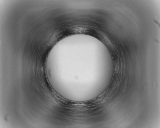 X0000095910363200801110833