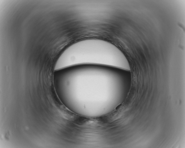 X0000095910364200801110833
