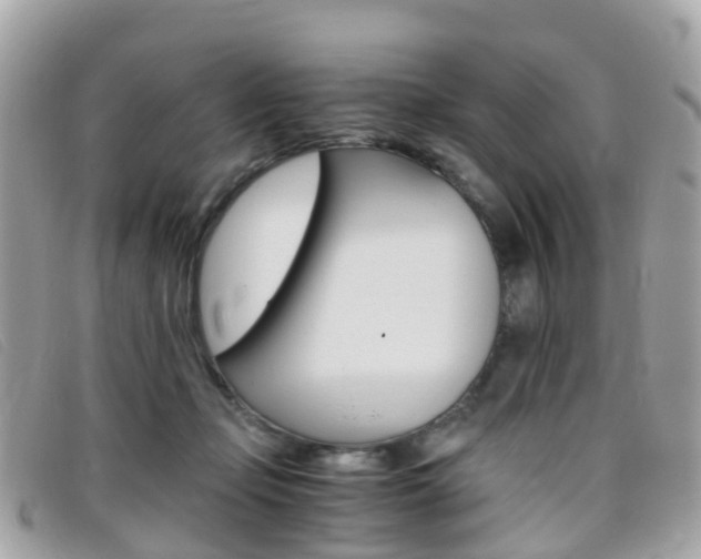 X0000095910365200801110833