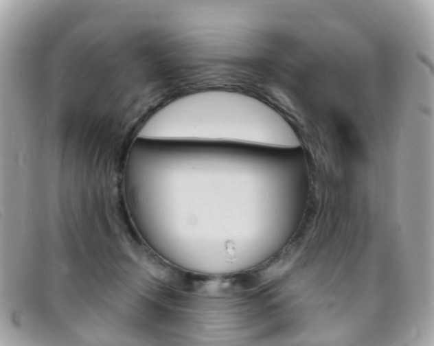 X0000095910366200801110833